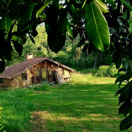 La Reserve Taino Villa