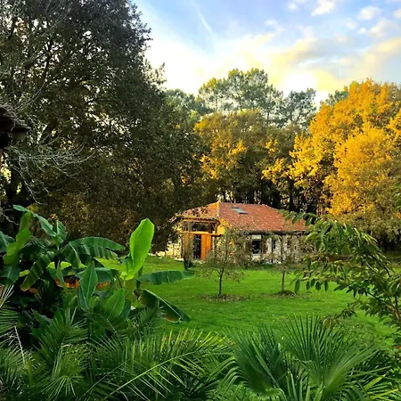 La Reserve Taino Arjuzanx